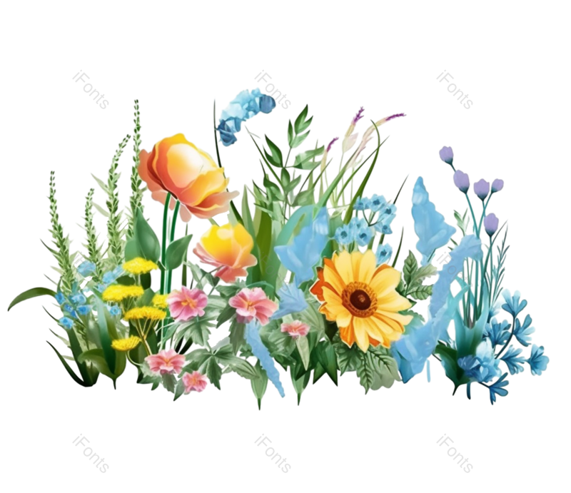 叶子图片,花卉元素,花草PNG,花朵免抠素材